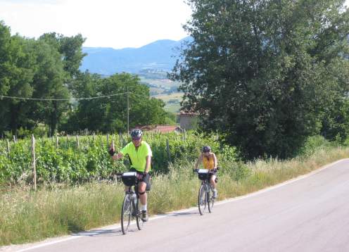 Biking by vineyards